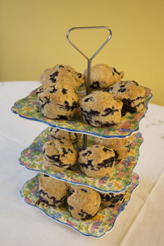 Traditional Blueberry Muffins